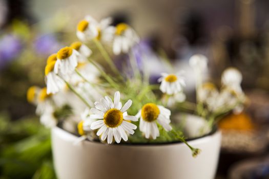 Fresh medicinal, healing herbs on wooden