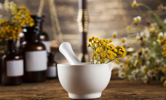 Fresh medicinal, healing herbs on wooden