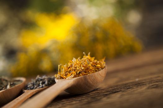 Herbal medicine on wooden desk background