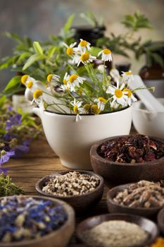 Healing herbs on wooden table, mortar and herbal medicine