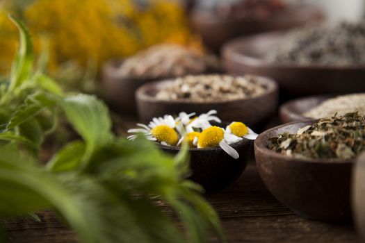 Healing herbs on wooden table, mortar and herbal medicine