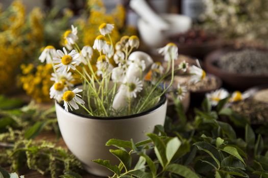 Natural medicine, herbs, mortar on wooden table background