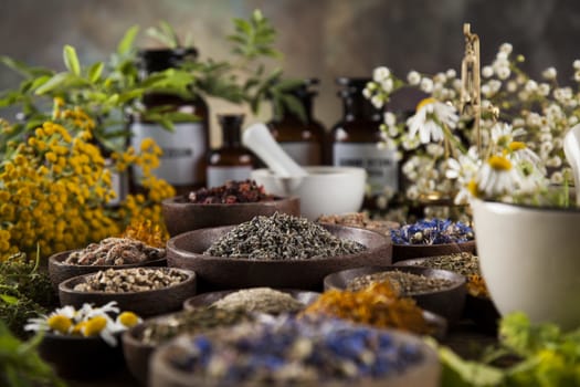 Healing herbs on wooden table, mortar and herbal medicine