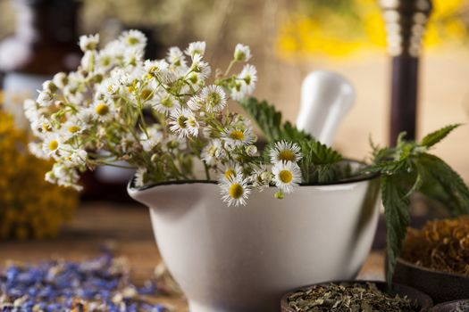 Natural medicine on wooden table background