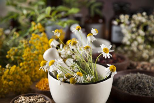 Natural medicine, herbs, mortar on wooden table background