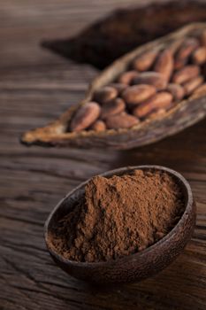 Cocoa beans in the dry cocoa pod fruit on wooden background