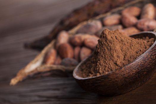 Cacao beans and powder and food dessert background