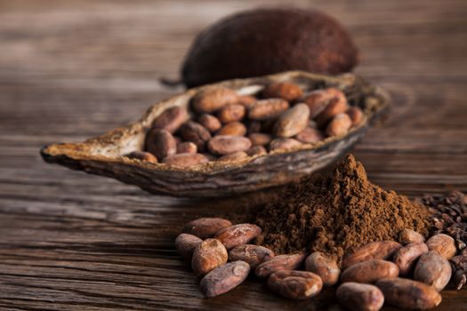 Cocoa pod on wooden background