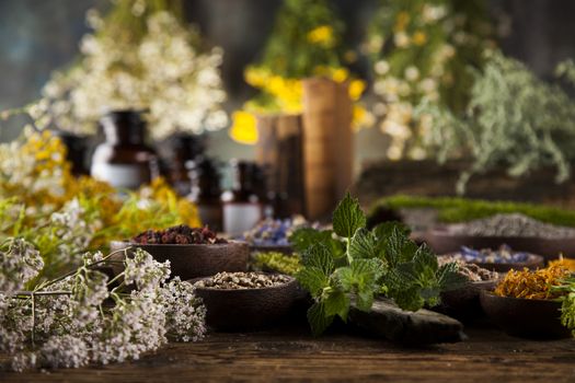 Fresh medicinal, healing herbs on wooden