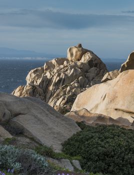 capo testa teresa di gallura , with rocks and blue sea on the italian island of sardinia