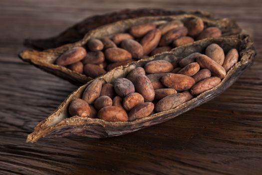 Cocoa pod on wooden background