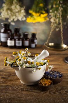 Herbs, berries and flowers with mortar, on wooden table background