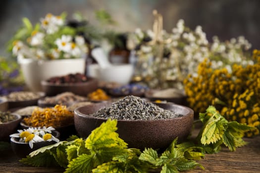 Healing herbs on wooden table, mortar and herbal medicine