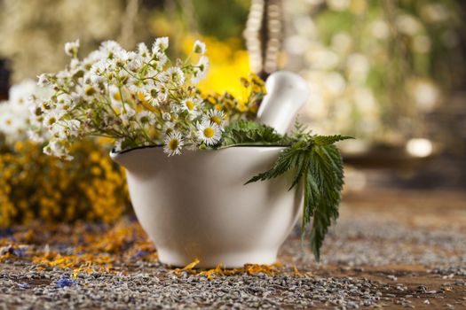 Herbs medicine,Natural remedy and mortar on vintage wooden desk background