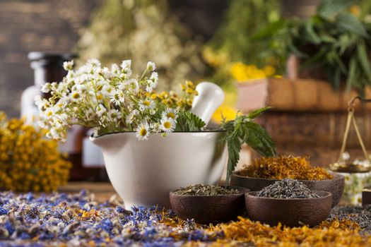 Natural medicine on wooden table background