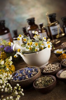 Fresh medicinal, healing herbs on wooden