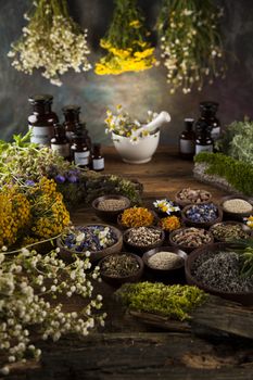 Herbs, berries and flowers with mortar, on wooden table background