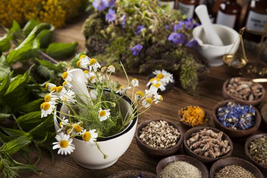 Fresh medicinal, healing herbs on wooden