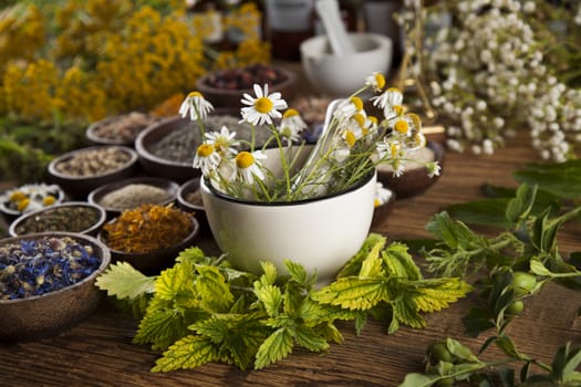 Healing herbs on wooden table, mortar and herbal medicine