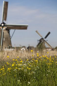 Dutch windmill in Kinderdijk