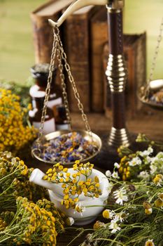 Fresh medicinal, healing herbs on wooden