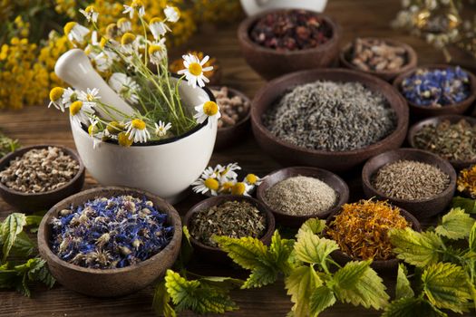 Natural medicine, herbs, mortar on wooden table background