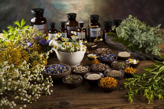 Fresh medicinal, healing herbs on wooden