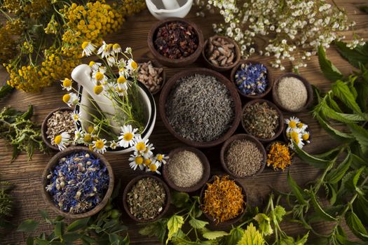 Natural medicine, herbs, mortar on wooden table background