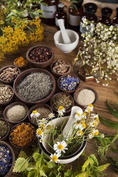 Healing herbs on wooden table, mortar and herbal medicine