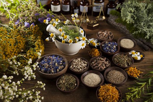 Fresh medicinal, healing herbs on wooden