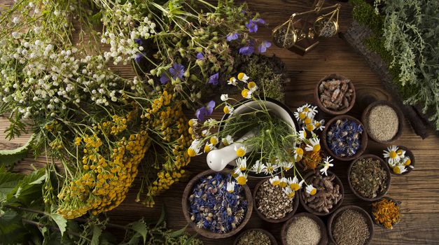 Fresh medicinal, healing herbs on wooden