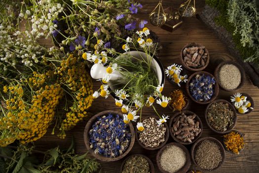 Fresh medicinal, healing herbs on wooden