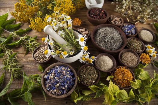 Natural medicine, herbs, mortar on wooden table background