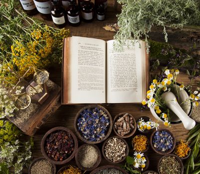 Fresh medicinal, healing herbs on wooden