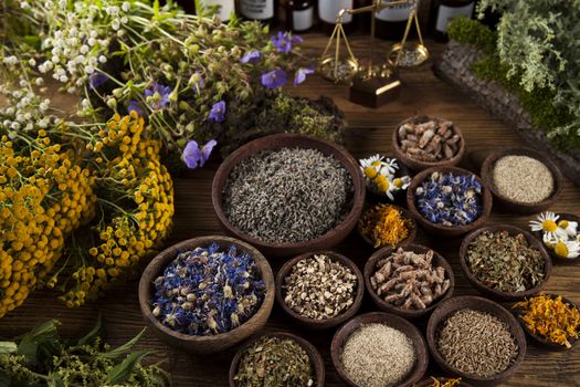 Fresh medicinal, healing herbs on wooden