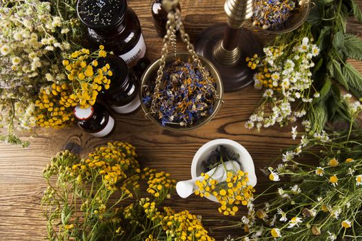 Fresh medicinal, healing herbs on wooden