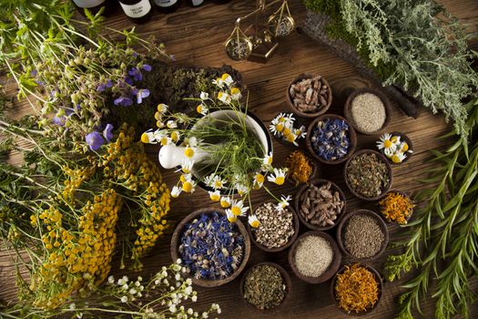 Fresh medicinal, healing herbs on wooden