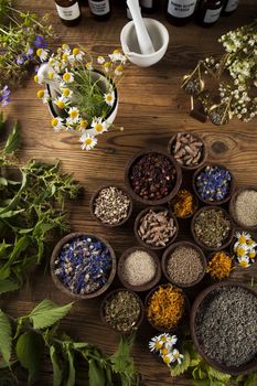 Fresh medicinal, healing herbs on wooden