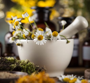 Herbs, berries and flowers with mortar, on wooden table background