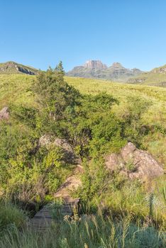 A pedestrian bridge on a hiking trail at Monks Cowl in the Drakensberg. Cathedral peak (left) and Monks Cowl (right) are visible in the back