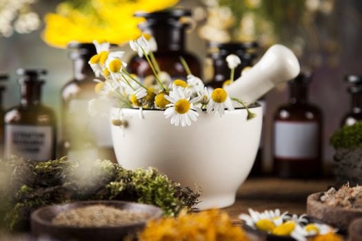 Herbs, berries and flowers with mortar, on wooden table background