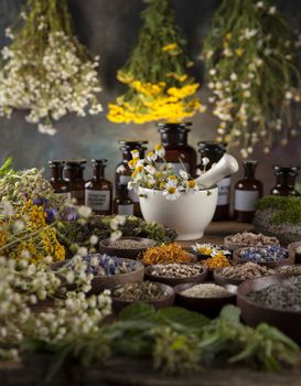 Herbs, berries and flowers with mortar, on wooden table background