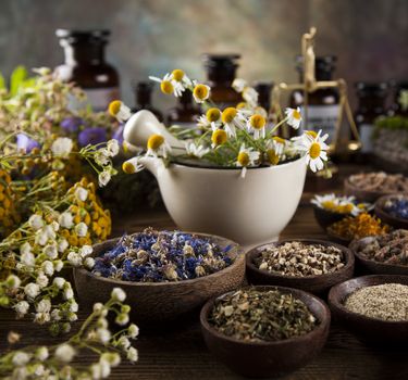 Fresh medicinal, healing herbs on wooden