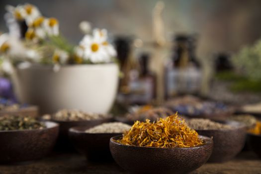 Fresh medicinal, healing herbs on wooden