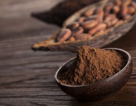 Cacao beans and powder and food dessert background