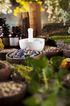 Herbs, berries and flowers with mortar, on wooden table background