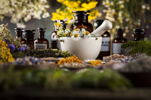 Herbs, berries and flowers with mortar, on wooden table background