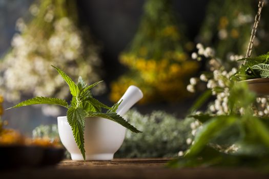 Herbal medicine on wooden desk background