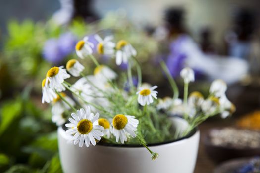 Natural medicine on wooden table background