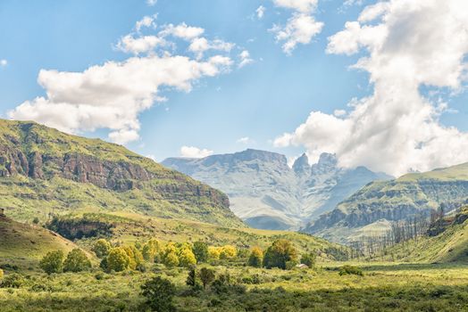 The camp site at Injisuthi in the Kwazulu-Natal Drakensberg is between the trees in front